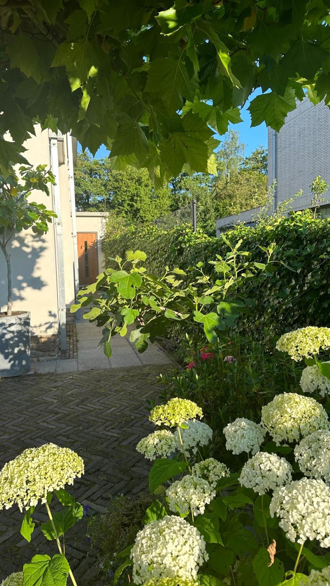 Luxe B&B "In De Schulp", Ontspan En Geniet Van Comfort En Stijl Amstelveen Eksteriør billede